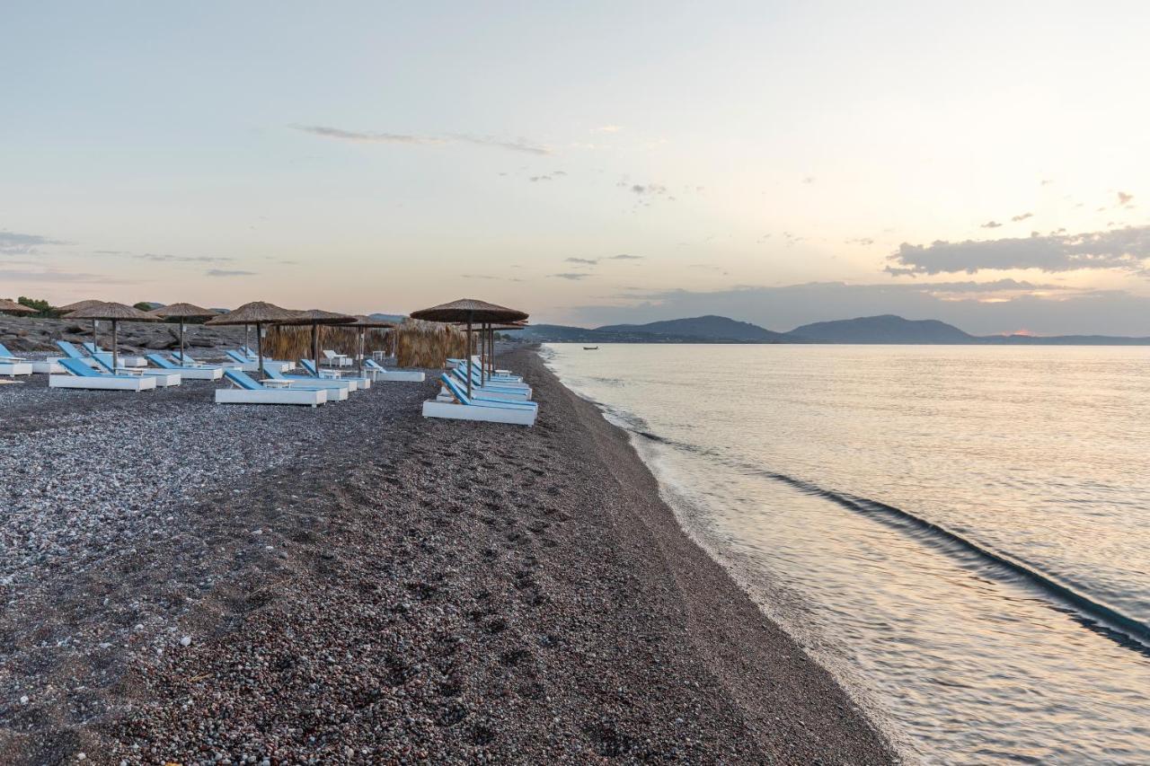 Ξενοδοχείο Eco And Magic Garden 3*