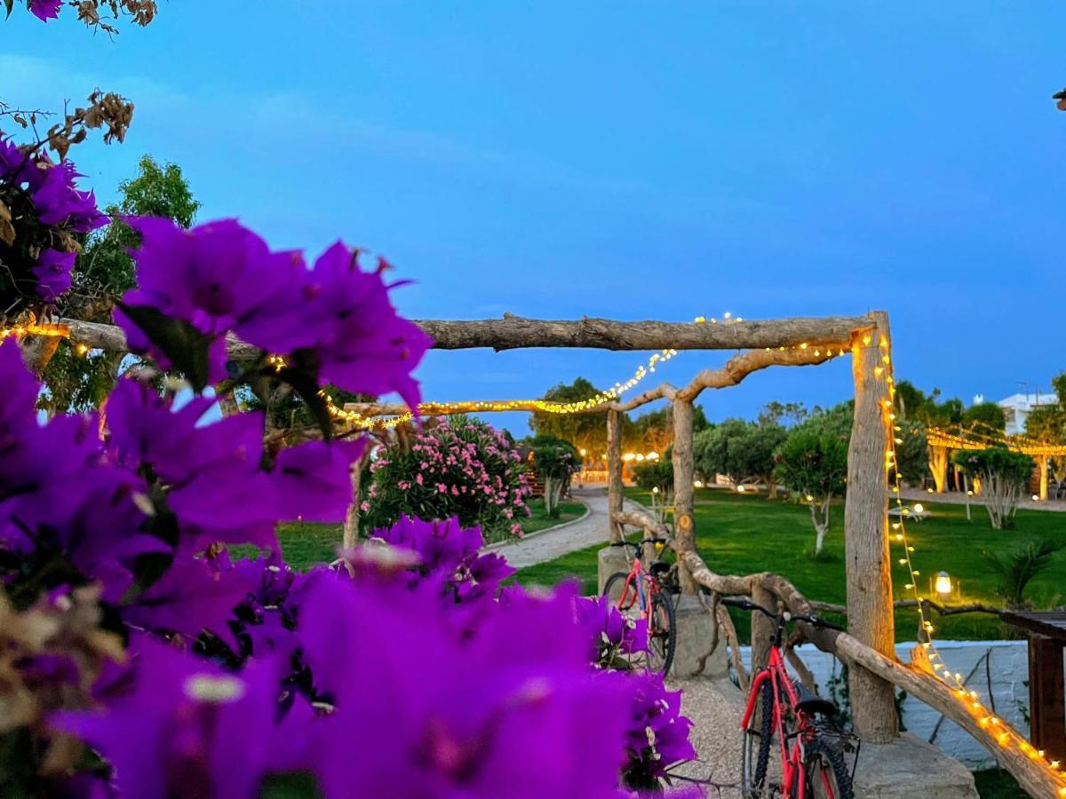 Eco And Magic Garden 3*
